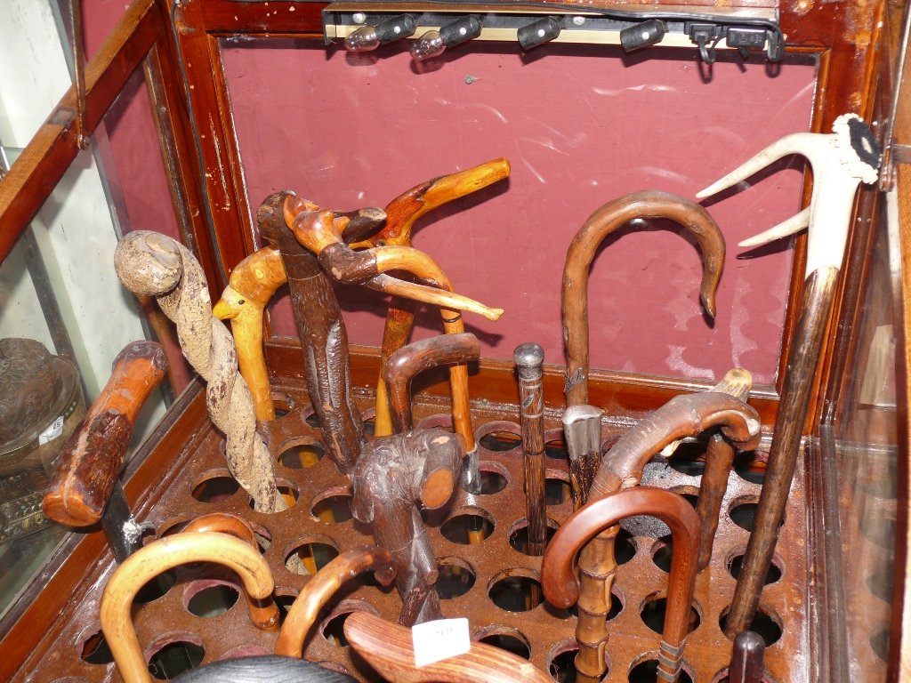 Lot of 23 canes - carved mexican, dated silver handle,: Lot of 23 canes - dated silver handle, bone, root twist, carved reclining woman in bathing suit, horn in shape of long nose man, horn handle, crook canes and walking sticks, carved liopn type face, ca