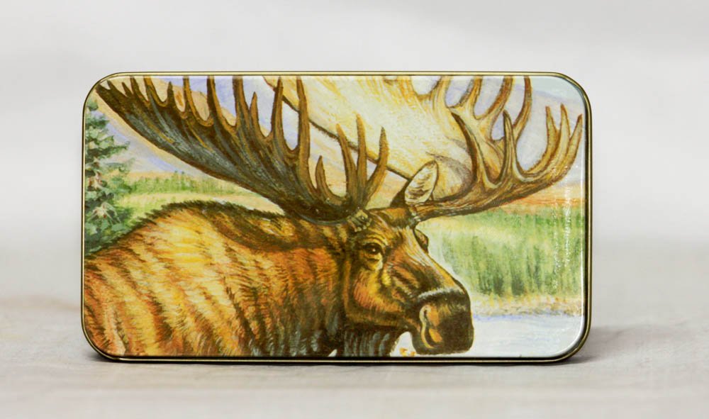 COLLECTIBLE MOOSE FOLDING KNIFE W/ TIN CASE: COLLECTIBLE MOOSE FOLDING KNIFE W/ TIN CASE **|**|** COLLECTIBLE MOOSE FOLDING KNIFE W/ TIN CASE