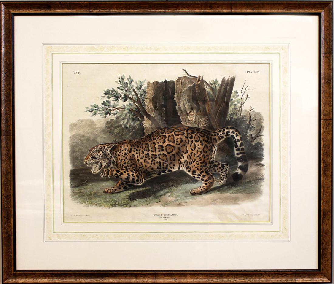 JOHN JAMES AUDUBON, after (Am., 1785-1851) (1 of 3)