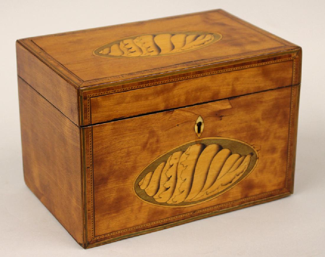 ENGLISH REGENCY SHELL INLAID TEA CADDY (1 of 3)