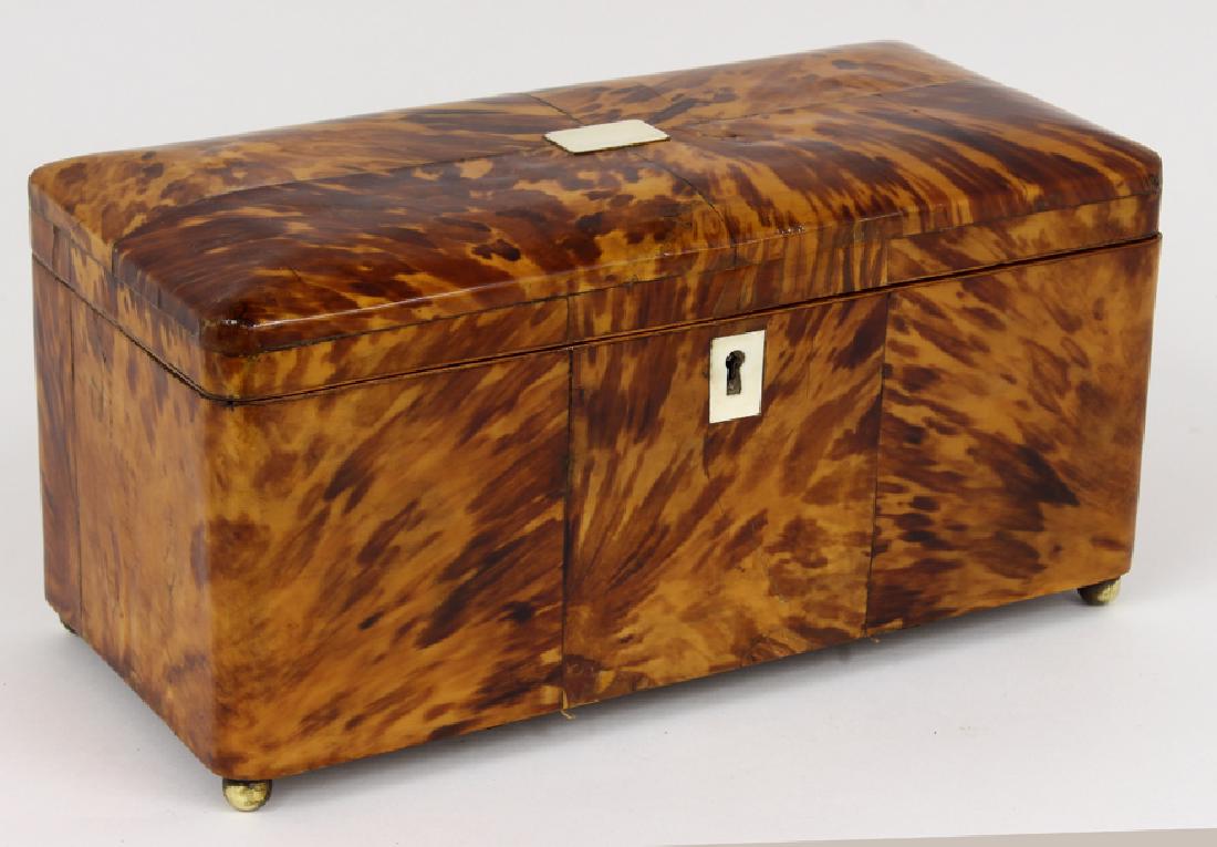 LARGE ENGLISH GEORGIAN SHELL TEA CADDY (1 of 2)