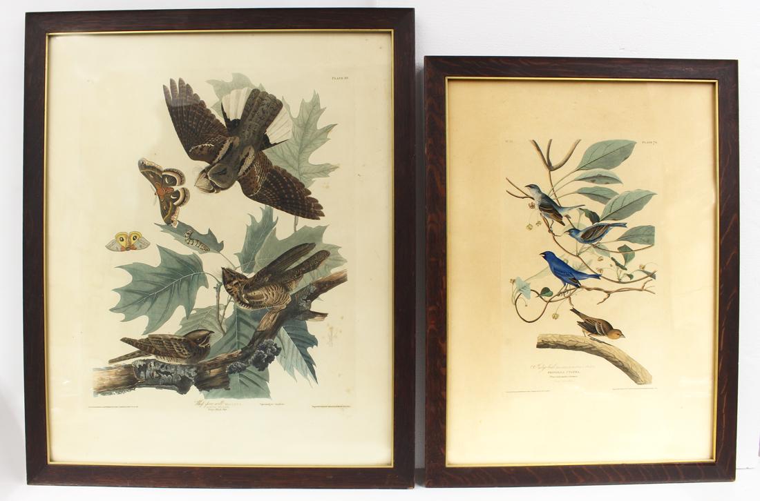 (2) after JOHN JAMES AUDUBON (American, 1785-1851): Whip-por-will, No. 17, PLATE 82, Engraved.Printed & Coloured by R. Havell Jun. 1830, 26 by 20.5 in. (image), framed under glass, 35.5 by 29 in.; along with