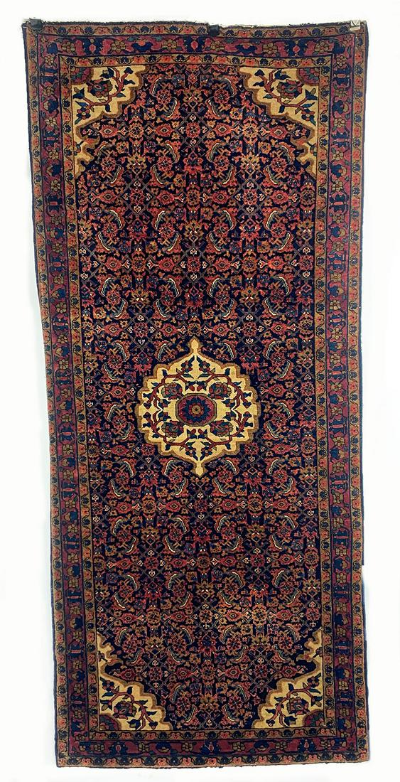 SAROUK RUNNER RUG (1 of 2)