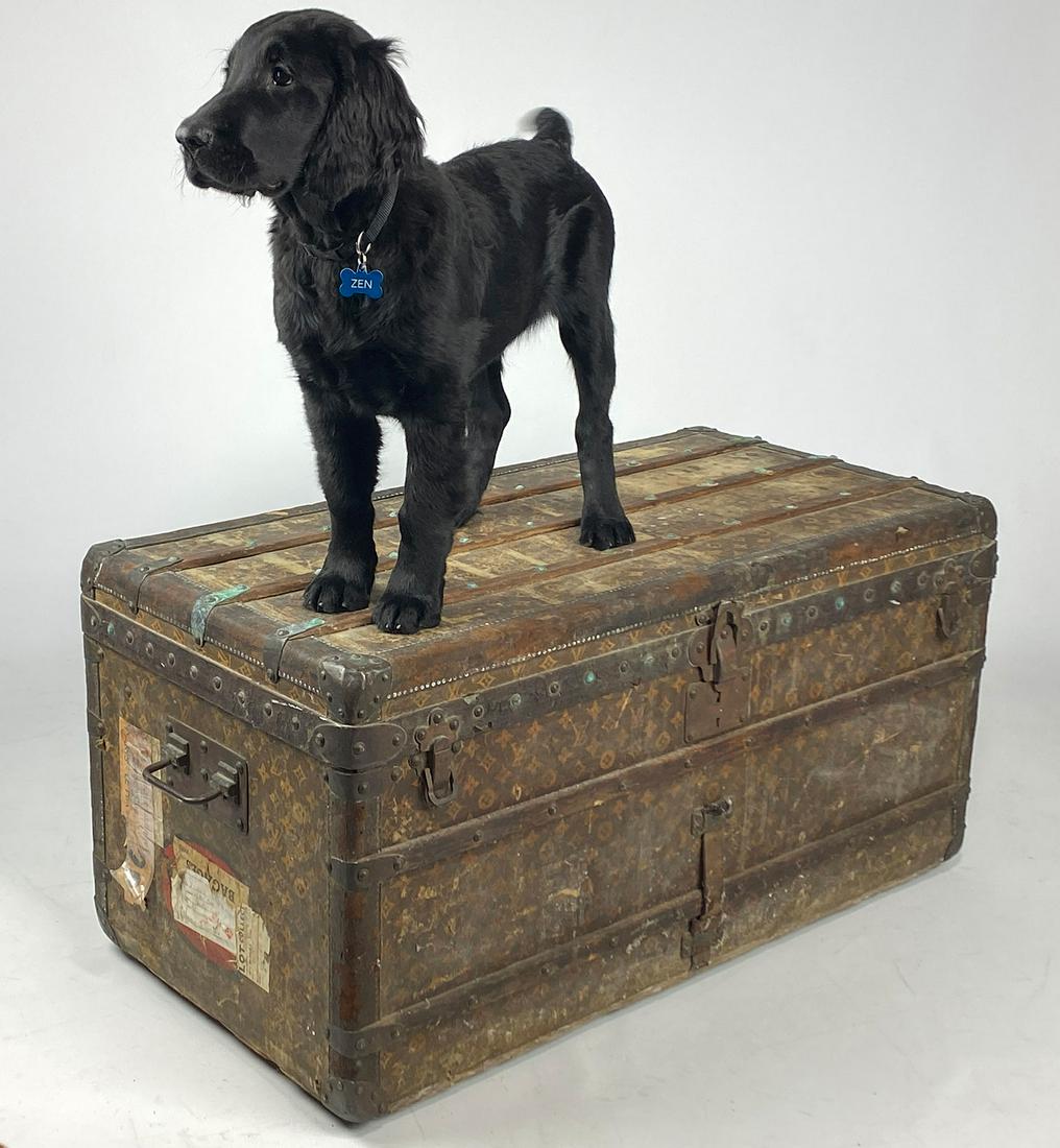 VINTAGE LOUIS VUITTON TRUNK (1 of 4)