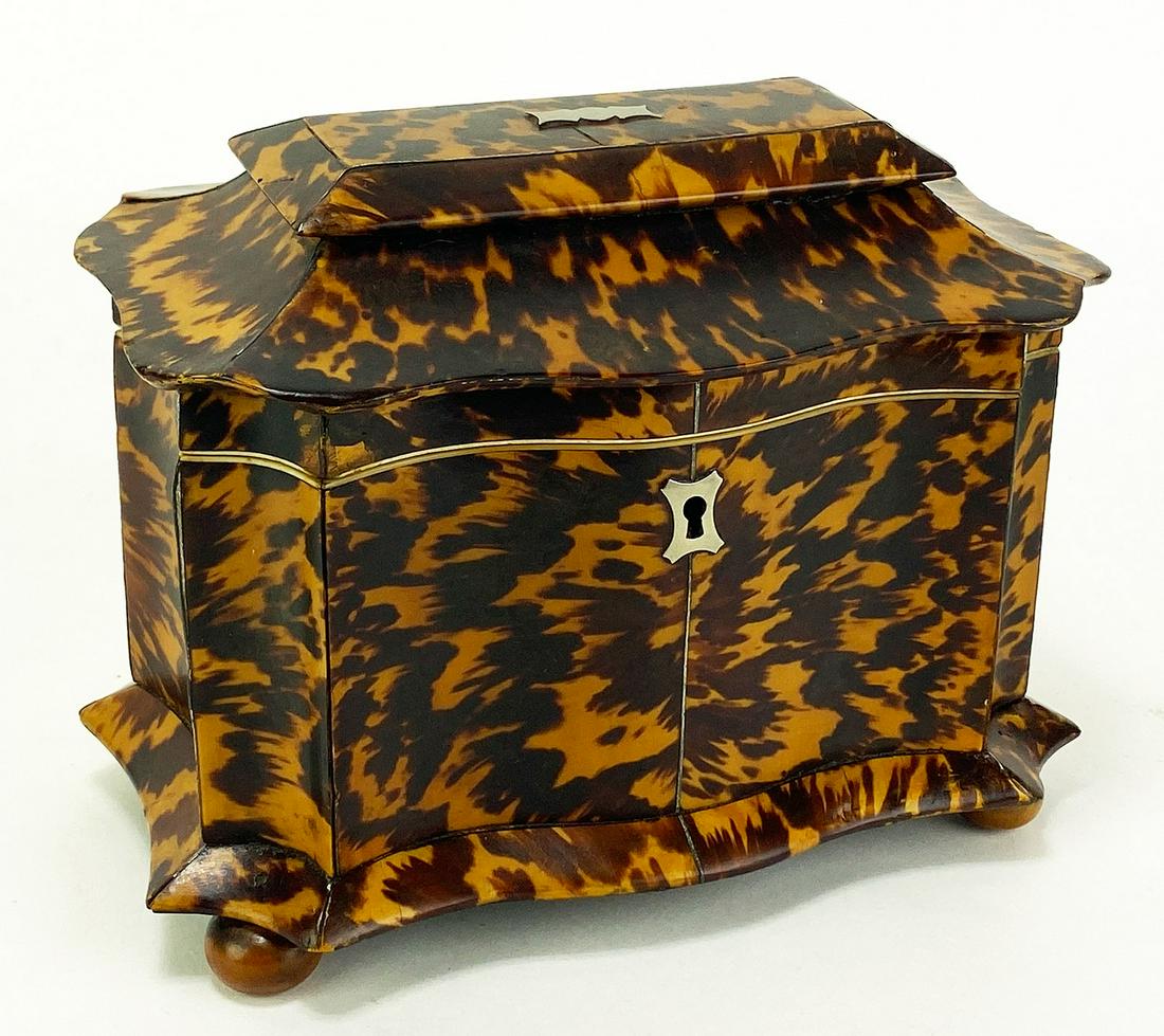 ENGLISH GEORGIAN SHELL SERPENTINE TEA CADDY (1 of 3)