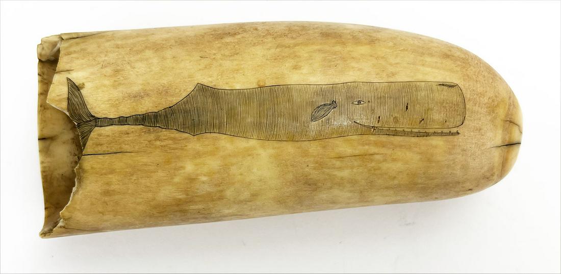 LARGE 19TH C. SCRIMSHAW WHALE TOOTH: whale; the reverse with ship at full sail with American flag, 6.5" From the nautical collection of a New Bedford, Massachusetts couple.NOTE: Apologies, we cannot approve bidders during the auctio
