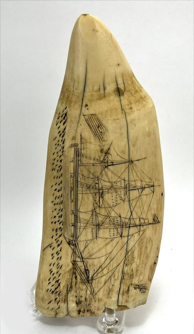 19TH C. SCRIMSHAW WHALE TOOTH: schooner at sea, American flag; faint ship on reverse; 6.75" From the nautical collection of a New Bedford, Massachusetts couple. NOTE: Apologies, we cannot approve bidders during the auction.
