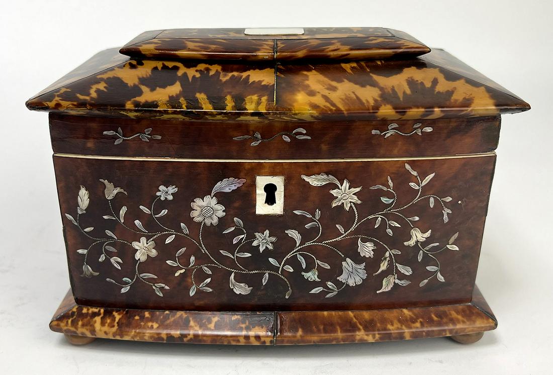 GEORGIAN INLAID SHELL TEA CADDY (1 of 2)