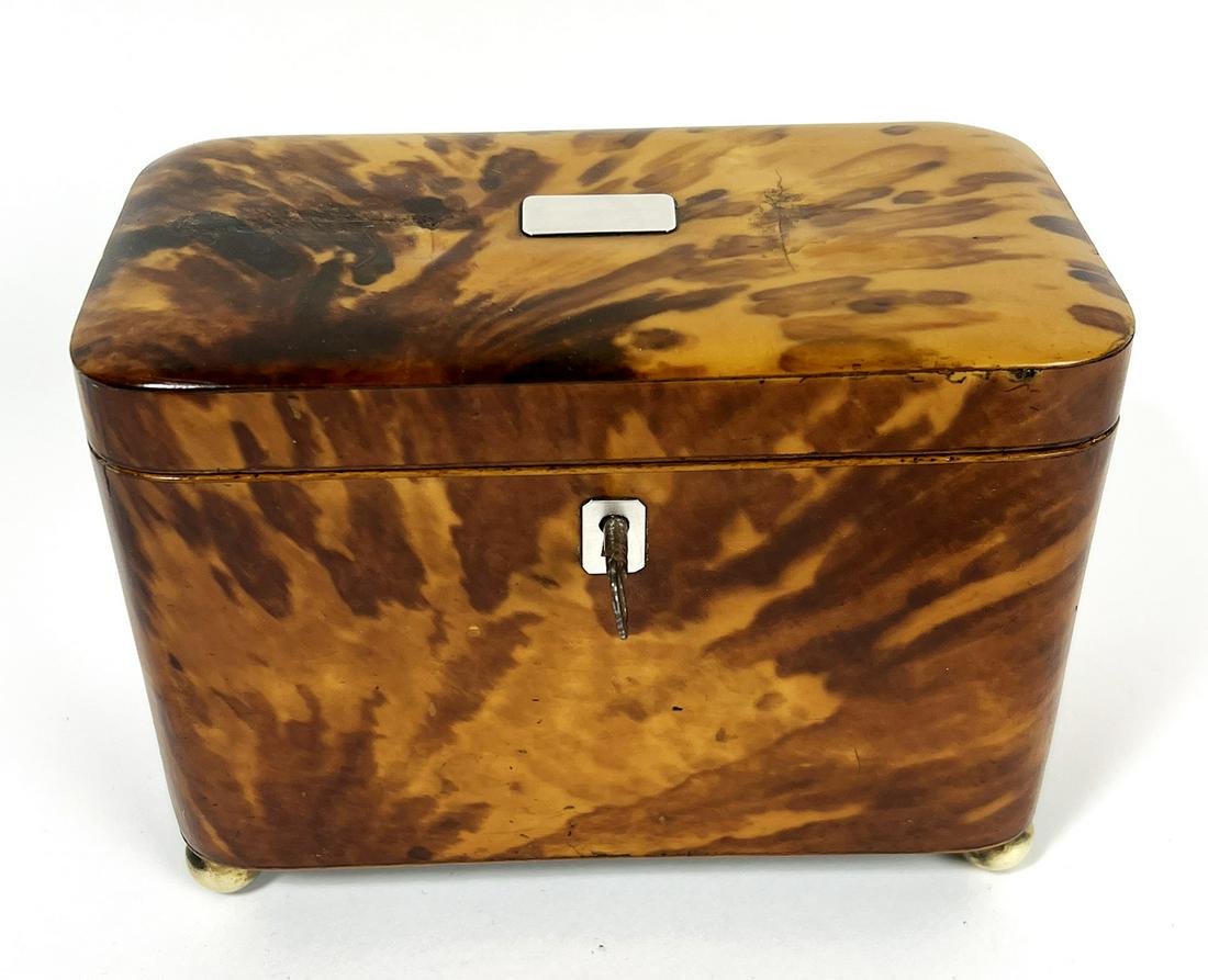 ENGLISH GEORGIAN SHELL DOUBLE TEA CADDY (1 of 2)