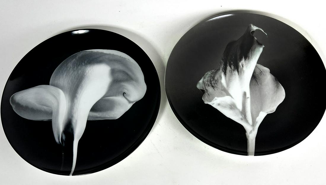 PAIR OF ROBERT MAPPLETHORPE / SWID POWELL LARGE PLATES (1 of 2)