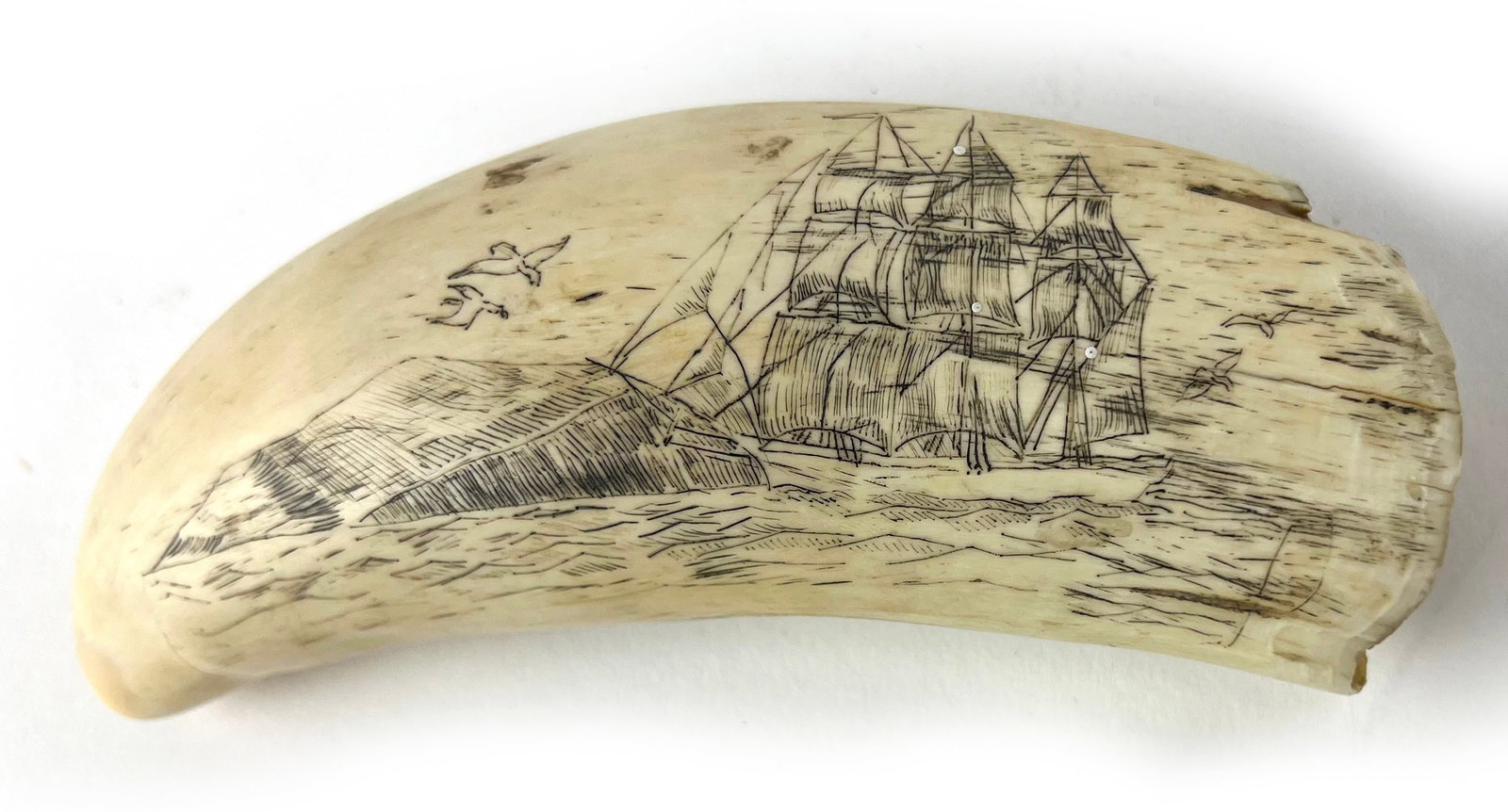 19TH C. SCRIMSHAW WHALE TOOTH: depicting a whaling scene; the reverse with a half-portrait of a woman "ELIZABETH" with two hearts above her head; 6" The collection of a New York gentleman. NOTE: Apologies, we cannot approve bidders