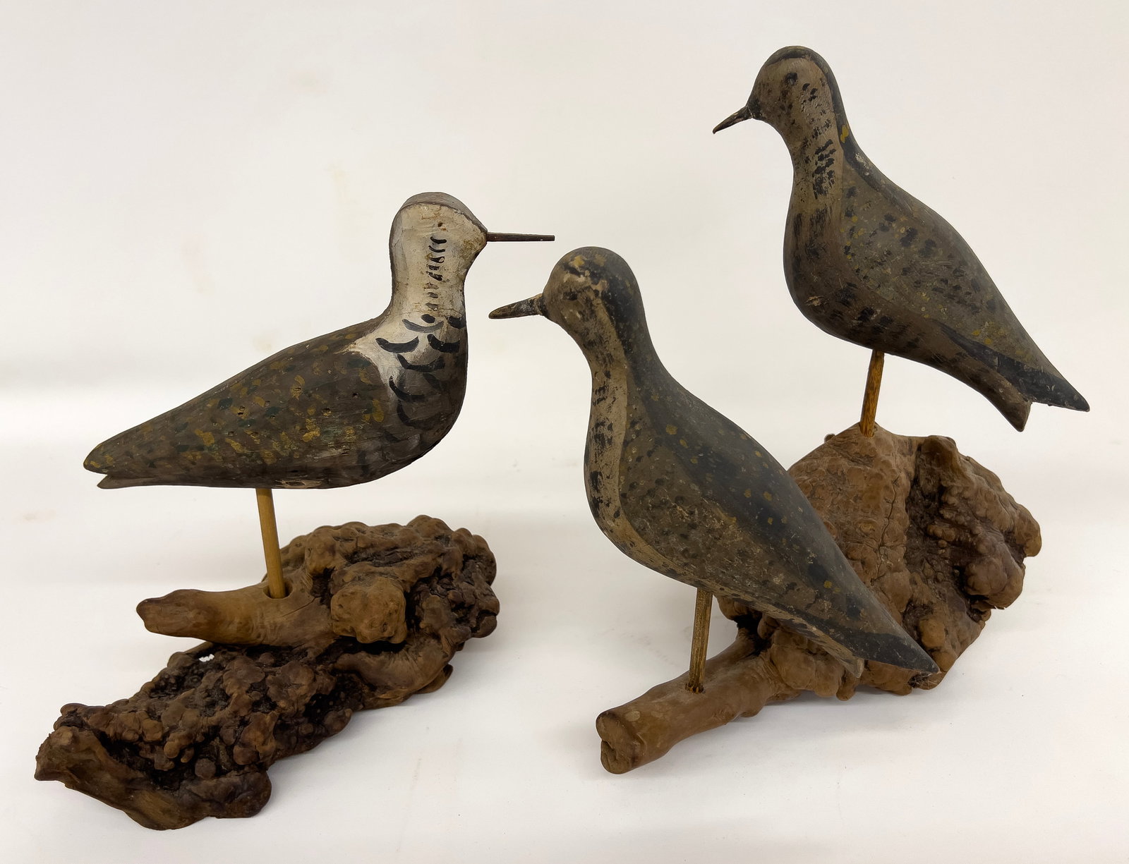(on 2) PLOVER DECOYS MOUNTED ON DRIFTWOOD (1 of 2)