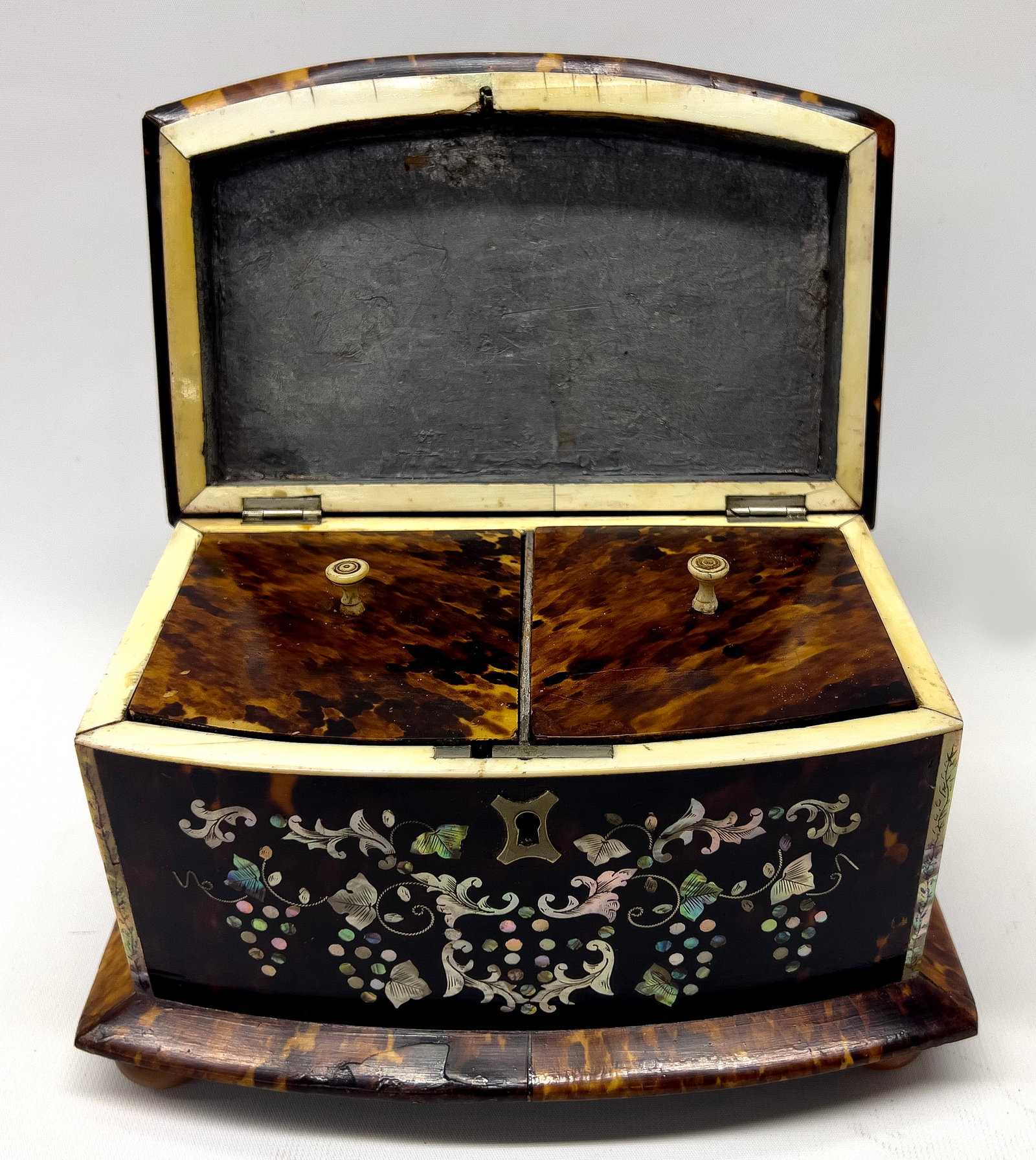 ENGLISH GEORGIAN INLAID TORTOISE SHELL TEA CADDY (1 of 1)