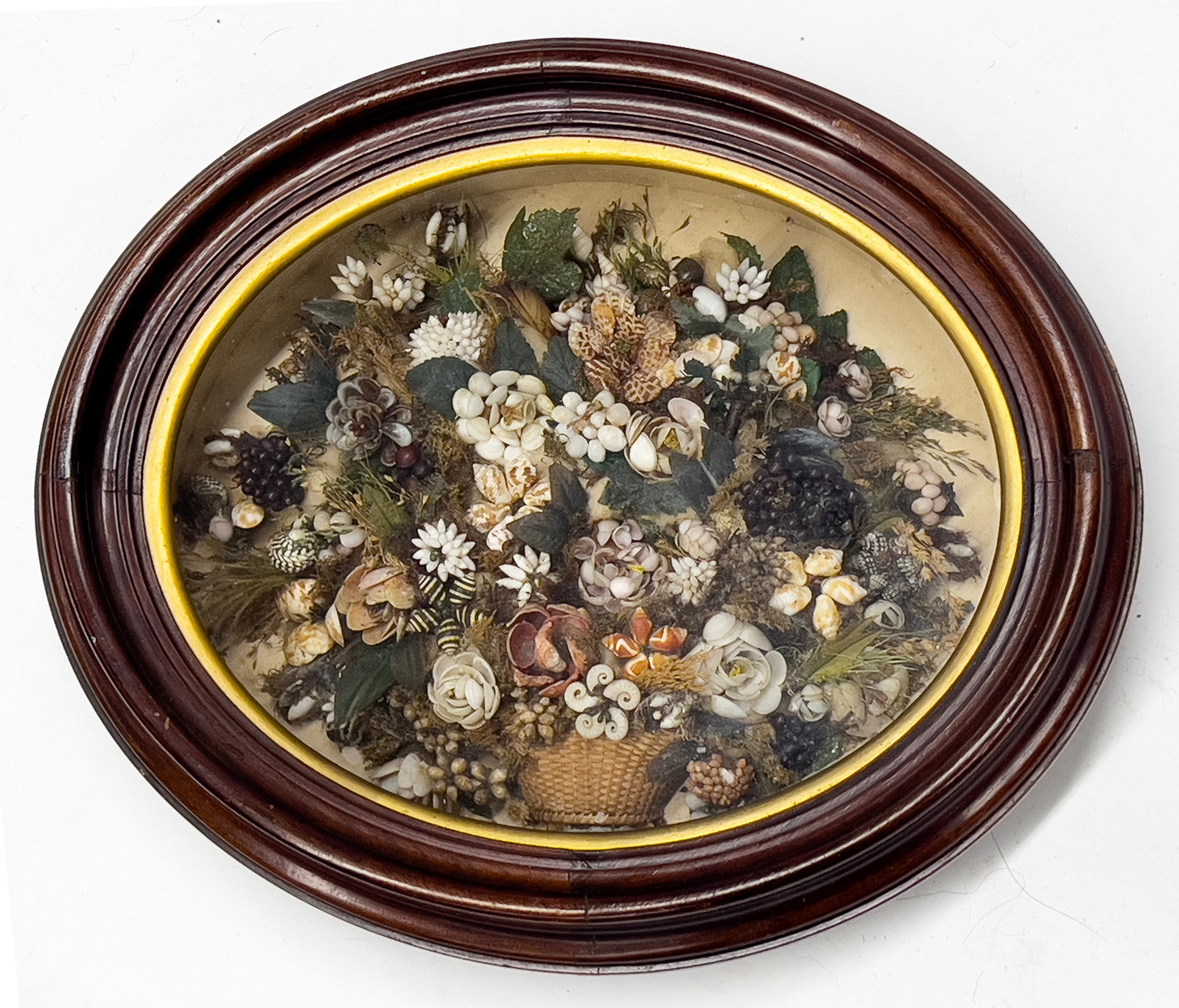 VICTORIAN SHELL AND FLORAL BOUQUET SHADOWBOX (1 of 1)