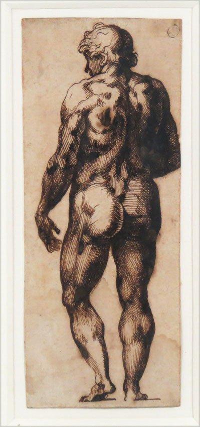 BARTOLOMEO PASSAROTTI (Italian, 1529-1592): standing male nude pen and brown ink on paper, 9 by 3.75 in., matted, framed under glass collector's mark B in upper right corner letter of authenticity on reverse: Lucien Goldschmidt, New York “Sta