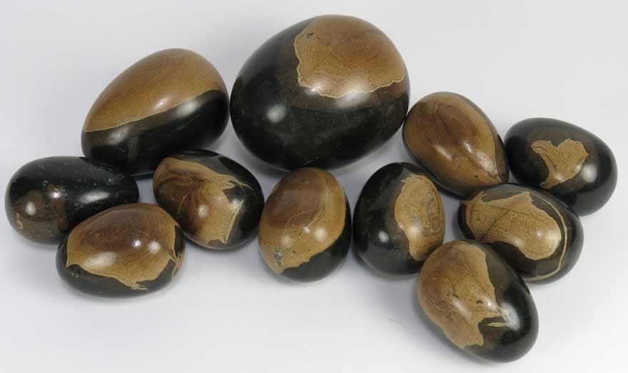 (11) STONE EGGS: brown and tan colored, nine are 3”; one larger; the last largest Ex. Kurt Reynolds collection, Boston
