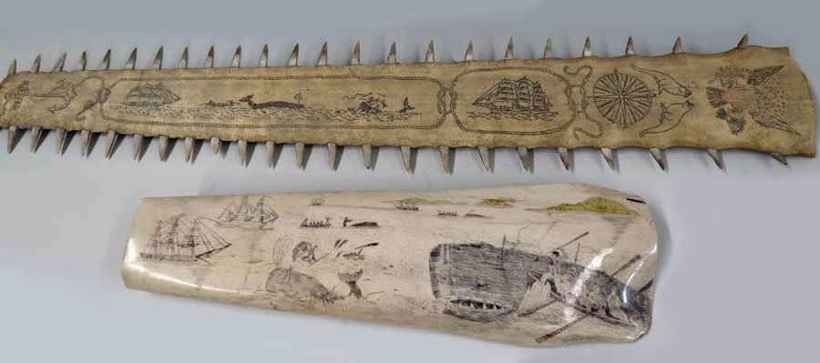 (on 2) DECORATED MARINE ITEMS: a sawfish bill with teeth (none missing), decorated with whaling scenes, the reverse plain, 35”; along with an old whale pan bone, later scrimshawed with whaling scenes, 18.5”