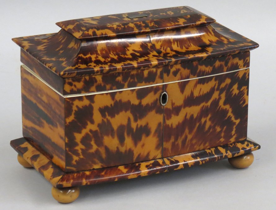 ENGLISH GEORGIAN TORTOISE SHELL TEA CADDY (1 of 2)