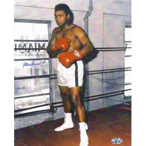 Autographed MUHAMMAD ALI Signed 8x10: This is a coloured 8x10 shot of Ali in the ring and has been passed around the boxing hall of fame and is signed by, Muhammad Ali and he also signed it Cassius Clay