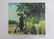 132B: ROUSSEAU Le Douanier "Charmeuse" LITHOGRAPHIE SIG