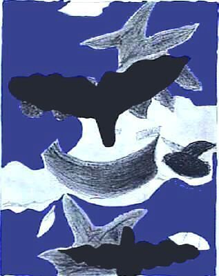 Georges Braque "Oiseaux birds" Lithograph Plate: Georges Braque " Oiseaux birds". Type: Graphics Subject: Lithograph. Info 2: plate signed . Info 3: Edition verve. size : 10 x 13.5 inches.