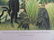109A: ROUSSEAU Le Douanier "Charmeuse" LITHOGRAPHIE - 5