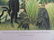 92A: ROUSSEAU Le Douanier "Charmeuse" LITHOGRAPHIE - 5