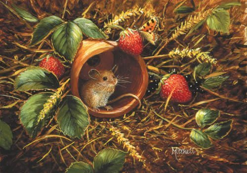 Barbara Mitchell! "Strawberry Mouse II".: Barbara Mitchell! "Strawberry Mouse II".