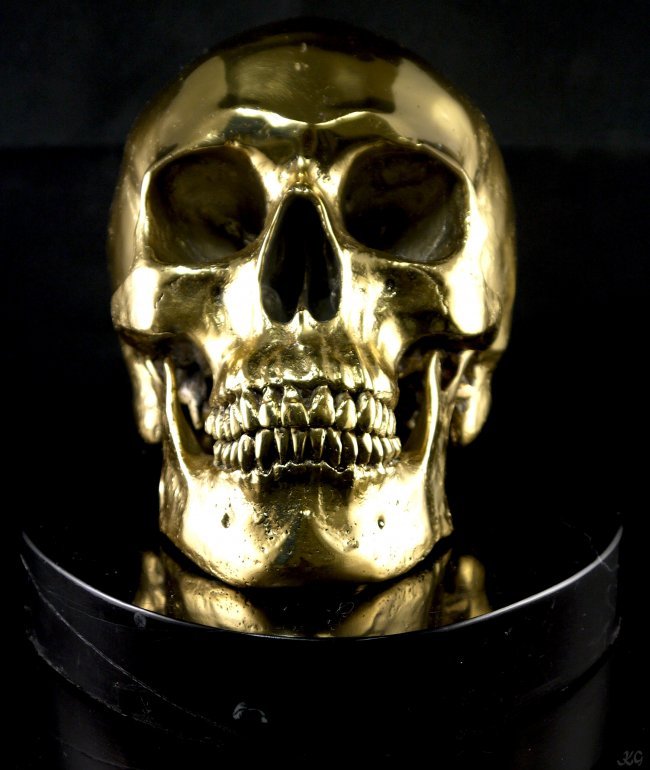 Bronze Dead Head Skull W501-3: Bronze Dead Head Skull 7.5" wide 7.5" tall it has a charcoal marble base W501-3