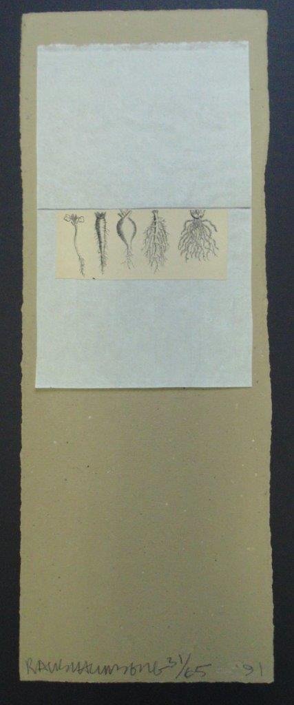 Robert Rauschenberg "Shirtboard" WN5550: Robert Rauschenberg - Shirtboard, from 28 Shirtboards. 1991. Unique mixed media on shirtboard. 31/65. Signed and numbered. 21 1/4" x 7 3/4". WN5550