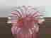 item-12003015=2