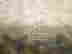 item-12008929=4