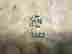 item-12010634=4