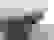 item-13188201=5