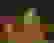 item-51688524=2