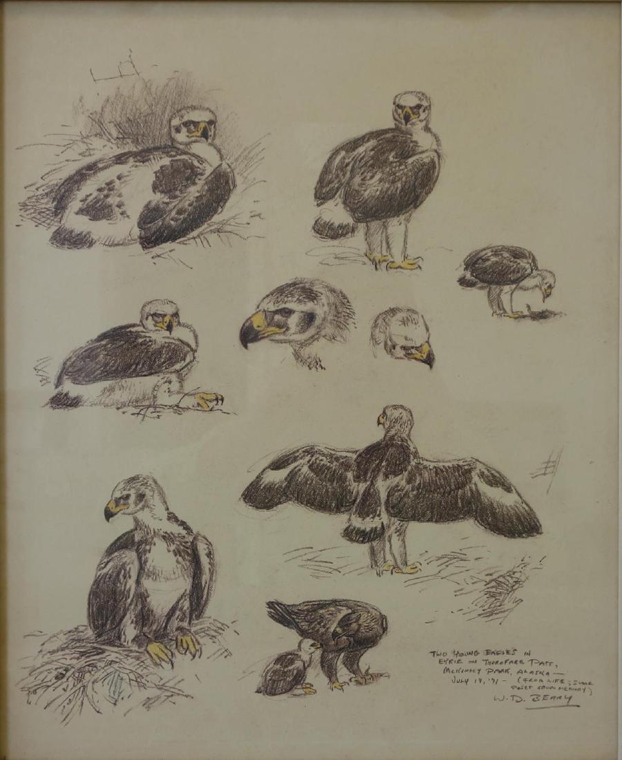 William D. Berry (1926-1979) Drawing, Young Eagles (1 of 6)