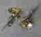 item-62232359=3