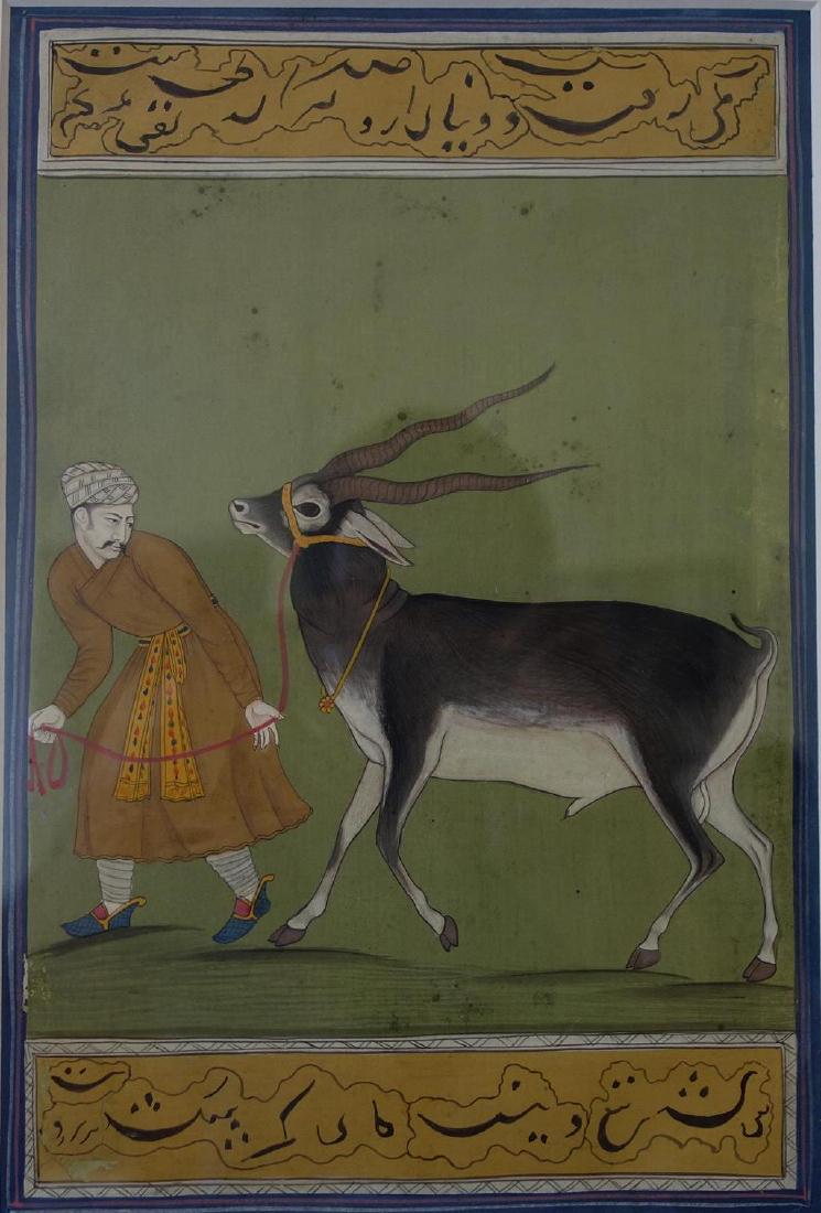 Mughal Painting, Blackbuck Antelope (1 of 2)