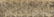 Fine Korean 10 Panel Screen, Scholar