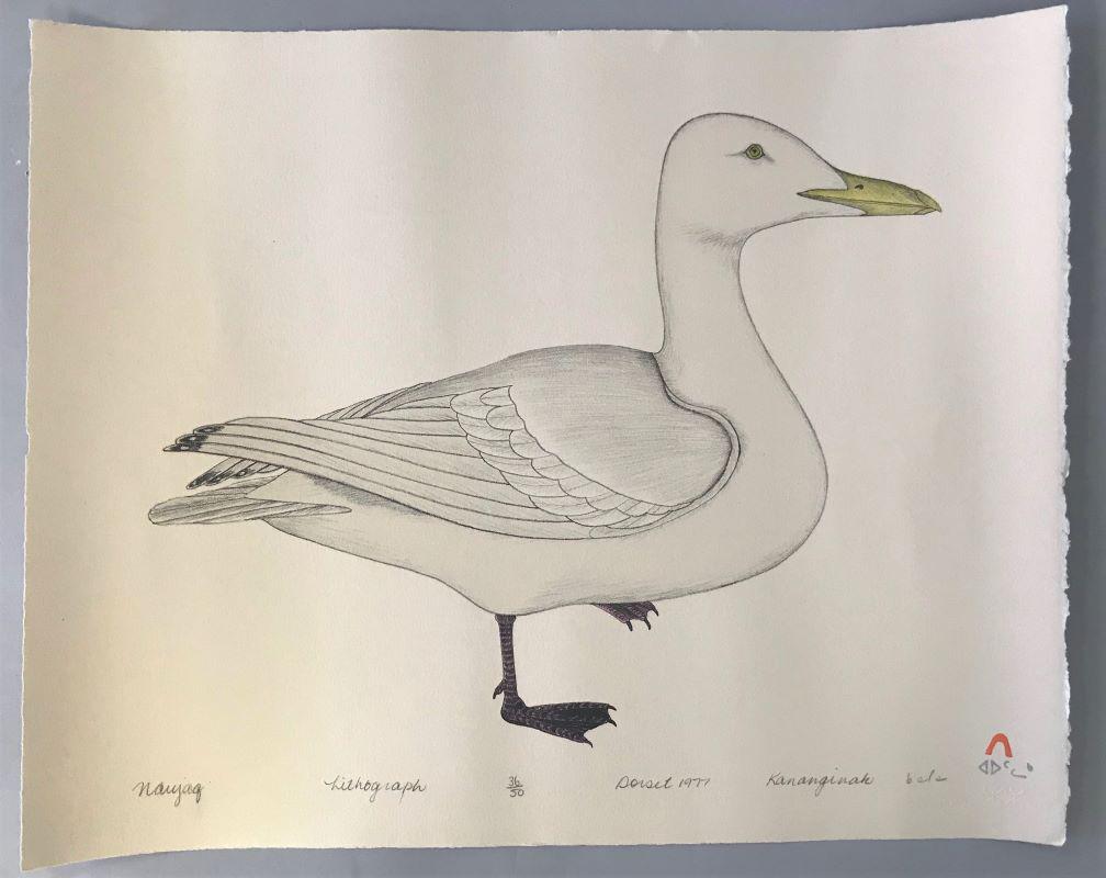 Kananginak Pootoogook, Nauhjaq / Seagull, 1977: Kananginak Pootoogook (Cape Dorset, Nunavut / Canada 1935-2010, Inuit sculptor and printmaker). Lithograph titled "Naujaq" (Nunavut seagull / gull), edition 36 / 50, Dorset 1977. Artist signed in penc