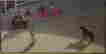 item-90899744=2