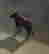 item-90899744=6