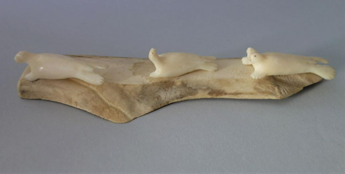 Inuit Carved Walrus Tusk & Caribou Antler, Signed: An Inuit Eskimo carving. Carved walrus tusk depicting three seals, resting on a carved caribou antler base. Artist signed indistinctly on the underside of base. Measures 7.25" long, 2" wide, 1-1/8" hi