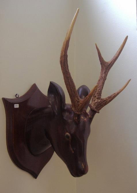 Filipino Lacquered Deer Trophy Real Antlers c1890: Mounted lacquered deer head from the Philippines,c.1890s with indigenous deer antlers. The overall measurement 21" high and 12" wide. (Note:Some cracking and losses to lacquer, see photos).