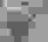 item-10196054=2