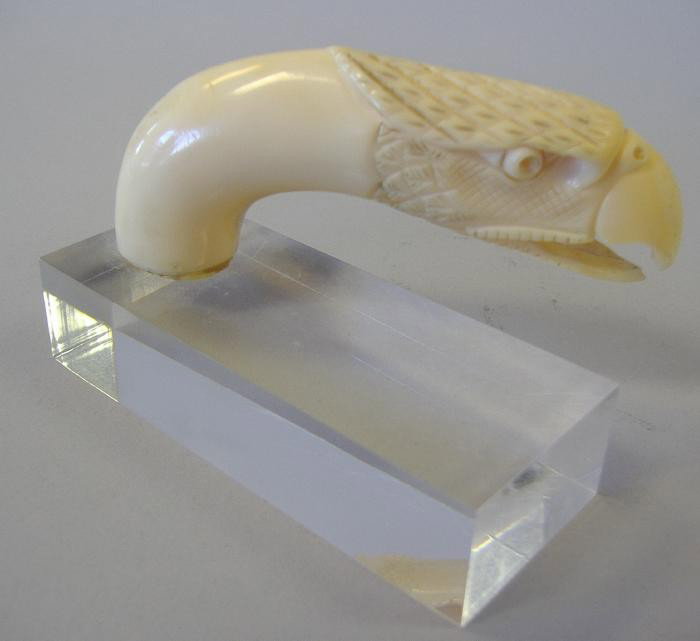 Carved Ivory Eagle Cane Handle: Well carved ivory cane handle in the form of an eagles head. Measures 3.5" long and 1.25" high. Mounted on a plexi-glass stand.