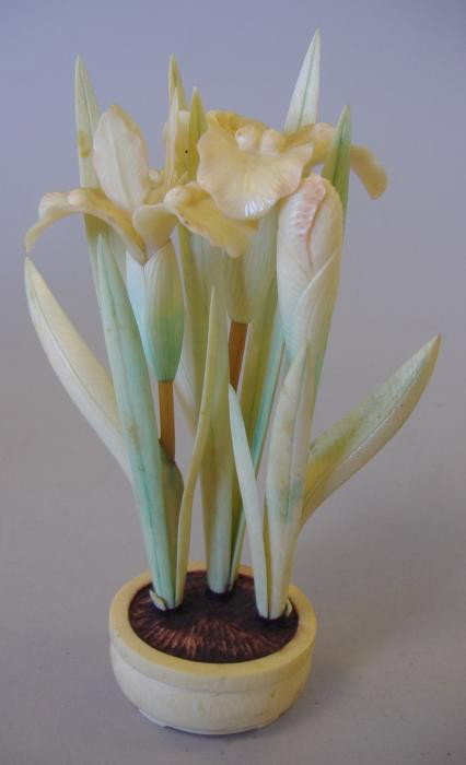 Japanese Polychrome Okimono of Iris Flowers: Japanese carved ivory okimono of iris and leaves blooming in a pot. Faint polychrome coloration of greens and pinkish hues. Measures 5.5" high. Signed underfoot.
