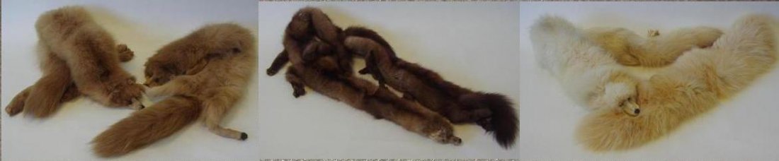5 Vintage Fur Stole Pelts, Fox & Stone Martin: Five vintage fur pelts. c.1940s-50s. Comprised of 2 brown fox furs, 2 white fox furs and 1 stone martin. Provenance: Estate of Lucille Bell.