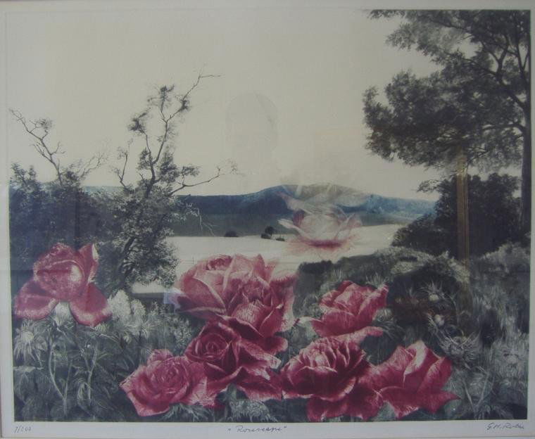 G.H.(Gatja) ROTHE (1935-2007) Rosescape: Framed mezzotint by artist G.H.Rothe (Gatja). Titled "Rosescape". Sight measurement 23" x 28.5". Framed measurement 33.5" x 39". Signed by the artist in pencil. Edition 7/200.