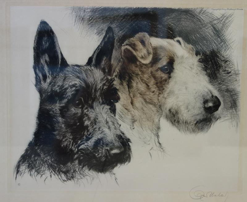 Kurt Meyer Eberhardt (1895-1977), Terriers: Framed etching by German artist Kurt Meyer Eberhardt of two terriers. Signed by the artist in pencil. Inscribed copyright by Franz Hanfstaengl, Munchen in the plate. Image measures 9.5" x 11.75". Fram